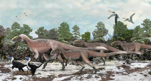 Yutyrannus huali - דינוזאור בעל נוצות שהתגלה בסין בשנת 2012 ושני פרטים של דינוזאורים מנוצים קטנים יותר Beipiaosaurus. איור: ד"ר בראין צ'ו 