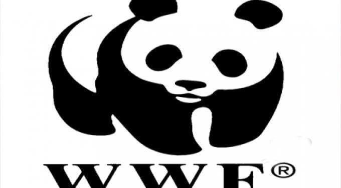 סמל הפנדה - לוגו ארגון ה-WWF