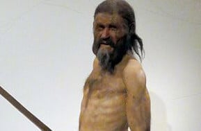 Utzi, the ice man whose body was preserved for 5,000 years. From Wikishare