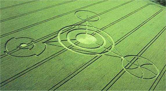 צורות גיאומטריות מסובכות בשדה תירס. מתוך ויקיפדיה