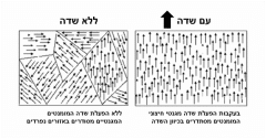 איור סכמטי של סידור המומנטים המגנטיים באזורים נפרדים. המקור: ויקיפדיה.