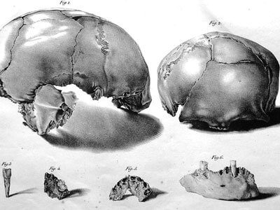 רישום העצמות ממערת אנז'י, שנעשה בידי שרל-פיליפ שמרלינג בשנת 1833. צילום: Wikipedia