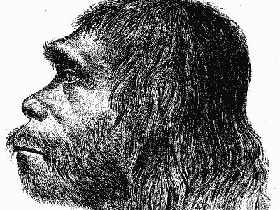 The interpretation given to the figure of the Neanderthal has never been objective. Illustration: Wikipedia