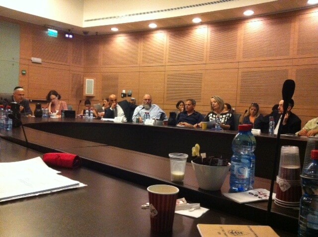 Meeting of the Interior and Environmental Protection Committee of the Knesset, June 26, 2012 Photo: Hagit Tishler