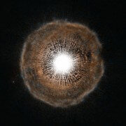 U Cam - כוכב מתפוצץ בקבוצת ג'ירף (לא הרחק מכוכב הצפון מנקודת מבטנו בכדור הארץ). צילום: טלסקופ החלל האבל