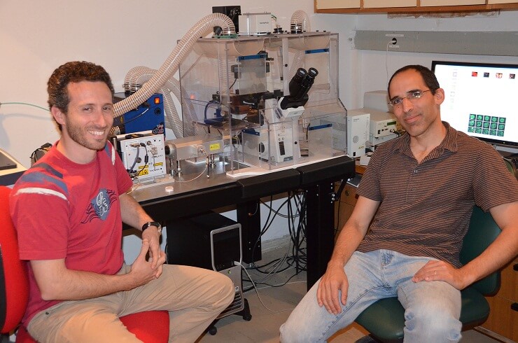 From the right: PhD student Shai Meltzer and Dr. Eran Meshorer from the Department of Genetics at the Institute of Life Sciences at the Hebrew University