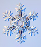 פתית שלג. איור: ויקיפדיה