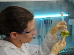 הפקולטה למדעי החיים באוניברסיטה העברית. תמונת יח"צ