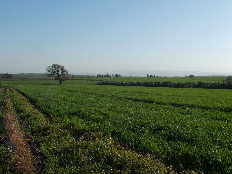 Agricultural field. From Wikipedia