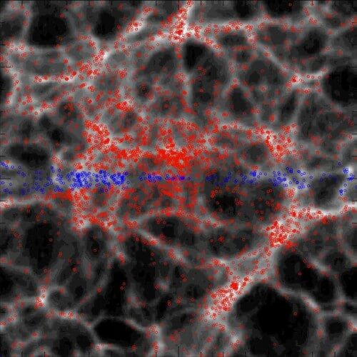 Mapping the location and movement of galaxies at a distance of up to 370 million light years from Earth according to a model that incorporates artificial intelligence developed at the Leibniz Institute for Astrophysics in Germany