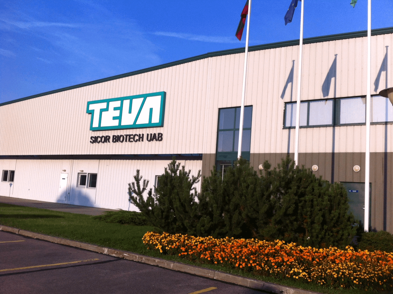 Teva-Sikor factory in Vilnius. Photo: Rina Yamin