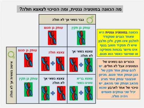 איור 3: מה הכוונה במוטציה גנטית, ומה הסיכוי לצאצא חולה?