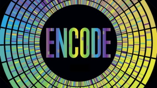 לוגו פרויקט ENCODE