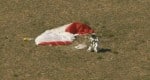 Jumper Felix Baumgartner at the moment of his landing. Photo: Red Bull Stratos.