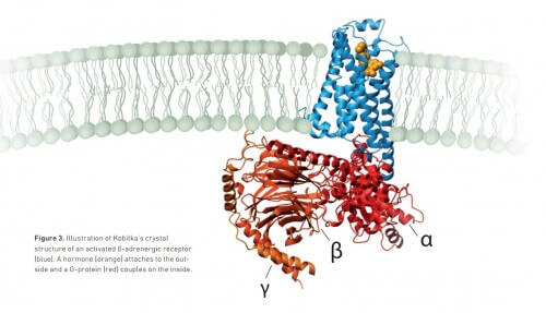 From the Nobel Prize in Chemistry presentation on the Nobel Foundation website