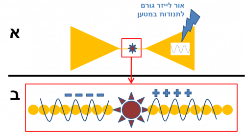 תמונה 3: איור סכמטי המראה את הארת הלייזר שגורמת לתנודות מטען על גבי האלקטרודה. תנודות המטען משרות תנודות הפוכות באלקטרודה השניה. כך שלמשל באופן רגעי נוכל למצוא מימין עליה בריכוז המטען החיובי ומשמאל עליה בריכוז המטען השלילי.