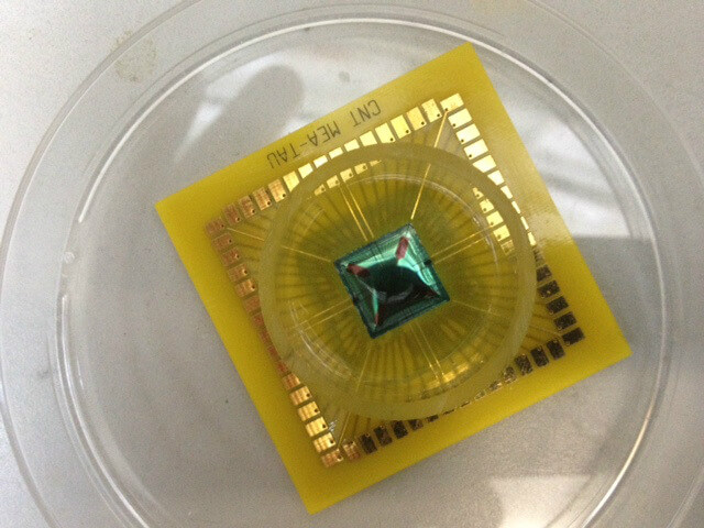 A technology that is expected to improve the quality of life of the blind. An experimental model of the chip at the center of an experimental system. Photo: Itay Nebo