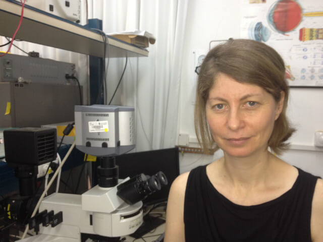 Hope that first experiments with the new chip can begin within five years. Prof. Yael Hanin. Photo: Itay Nebo