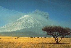 התפרצות ההר אול דוינו לנגאי בטנזניה בשנת 1966. מתוך ויקיפדיה