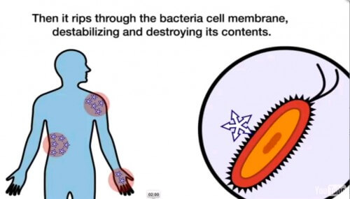من الفيديو التوضيحي الخاص بشركة IBM بخصوص عمل الجل المضاد للبكتيريا. تصوير الشاشه