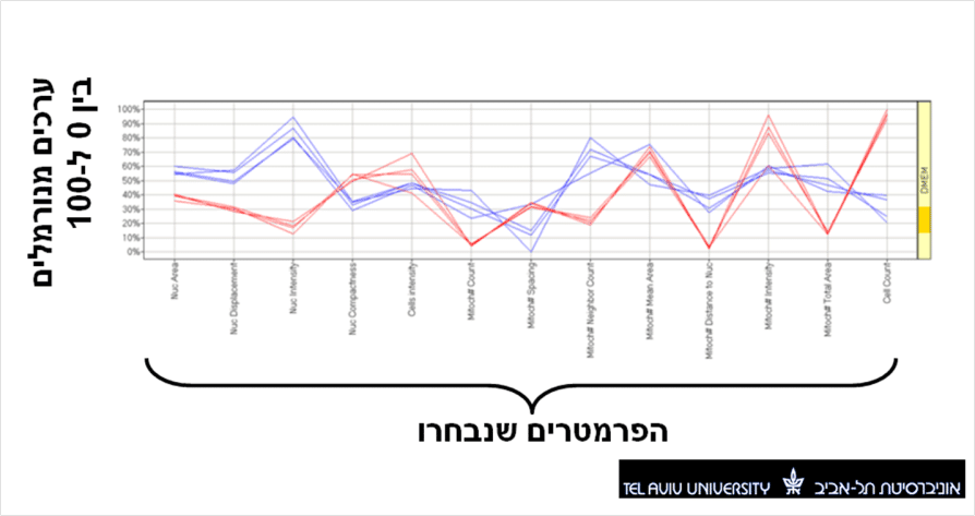 תמונה 2: צילום מסך לדוגמא של profile chart. השוואה בין פרופיל של תאים חולים (אדום) לפרופיל של תאי ביקורת (כחול). שימו לב להבדל בין שני סוגים שונים של תאים ולדמיון בין חזרות שונות של ניסוים באותם תאים. המקור לתמונה: דר' סולמסקי, אוניברסיטת תל אביב.