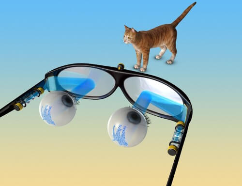 In the picture: an illustration of a future holographic stimulation system mounted on glasses that will serve as a visual "prosthesis" for the blind. Images from a miniature video camera will be converted in real time into holograms projected by a laser onto retinal cells (at the back of the eye) that have been genetically modified to be sensitive to light. Illustration: Ina Gefen, Roman Kanavsky and Shai Shom