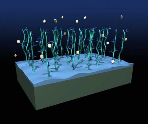 A hydrogel microarray. Illustration: ARRAYIT company