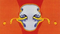 גולגולתו של הנחש אוכל החלזונות: בלסת ימין נראות כחצי תריסר שיניים נוספות לעומת הלסת השמאלית. צילום: מתוך המאמר, courtesy of Masaki Hoso