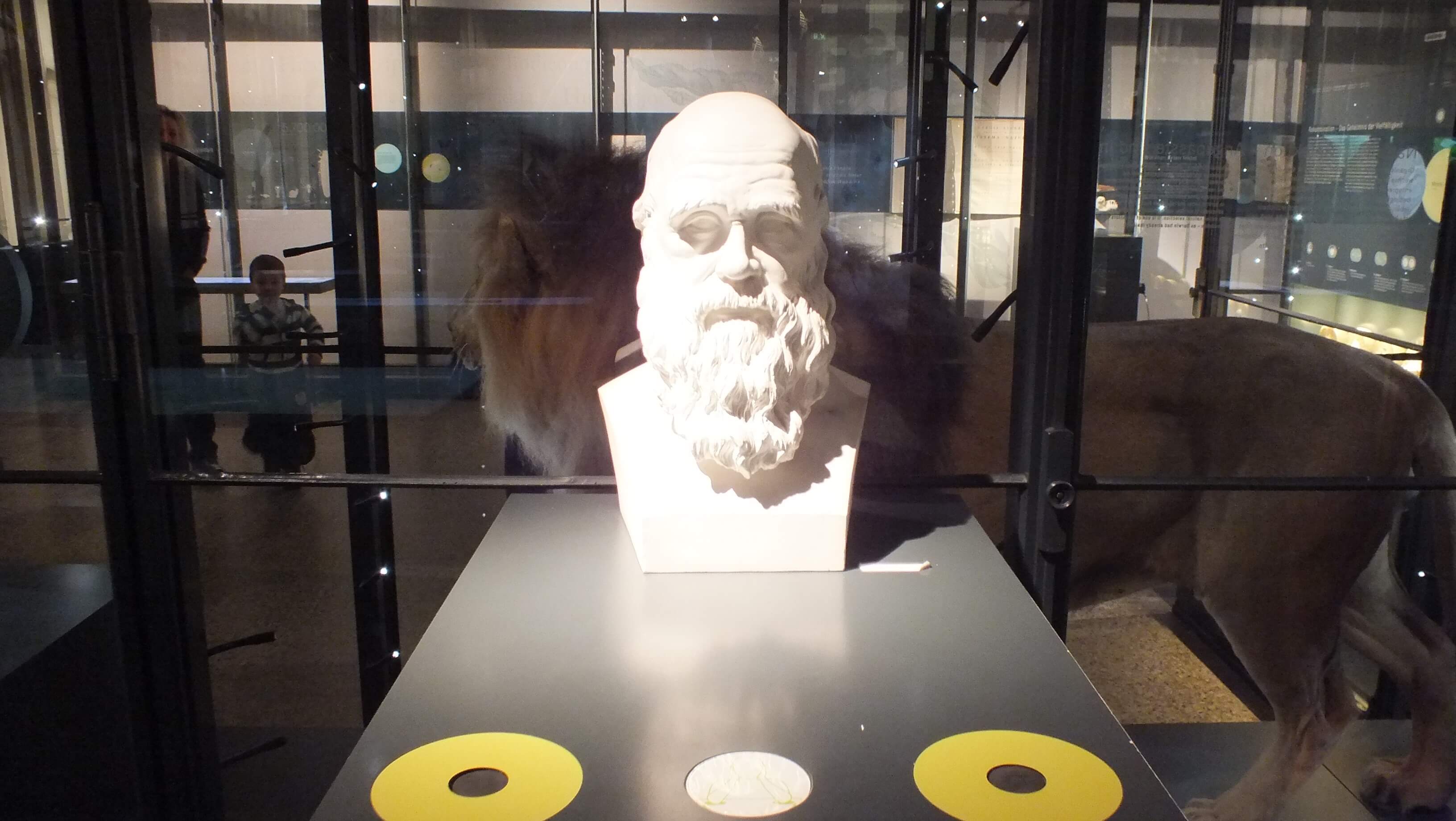 פסלו של צ'ארלס דרווין בתצוגת "אבולוציה בפעולה" במוזיאון הטבע בברלין. צילום: אבי בליזובסקי, מארס 2013