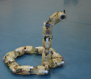 רובוט נחש - צילום: דוברות הטכניון