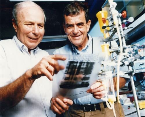 פרופסור אברהם הרשקו (משמאל) ופרופסור אהרן צ'חנובר. צילום: דוברות הטכניון