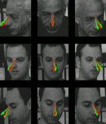 חיזוי כיוון המבט: תוצאות האלגוריתם (באדום), לעומת תוצאות של שני נבדקים (בירוק). תמונות הפנים (מלמעלה למטה) הן של פרופ' שמעון אולמן, דניאל הררי, ונמרוד דורפמן