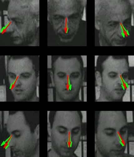 Prediction of gaze direction: the results of the algorithm (in red), compared to the results of two subjects (in green). The face photos (from top to bottom) are of Prof. Shimon Ullman, Daniel Harari, and Nimrod Dorfman