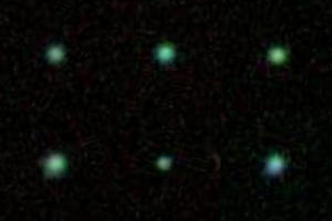 כמה מגלקסיות האפונים הירוקות. איור: Anne Jaskot, אוניברסיטת מישיגן