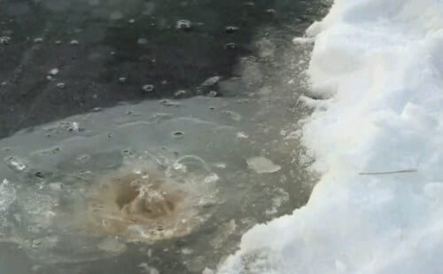 Screenshot from a video by Katie Walter Anthony of the University of Alaska at Fairbanks of methane from thawed permafrost catching fire