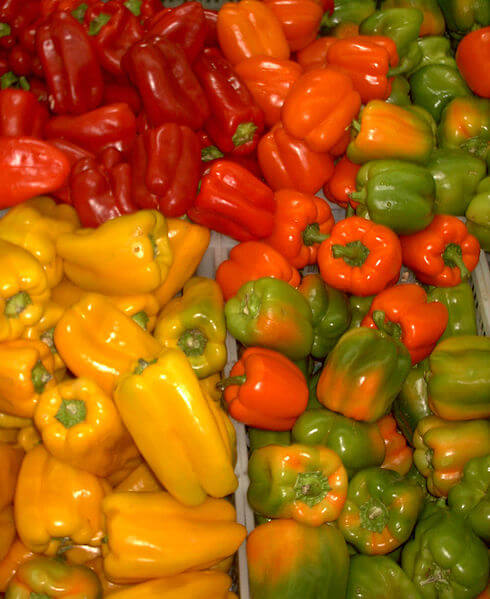 Peppers in many colors. From Wikipedia