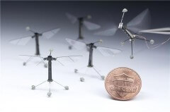 חרקים רובוטיים זעירים (Credit: Kevin Ma and Pakpong Chirarattananon, Harvard University.)