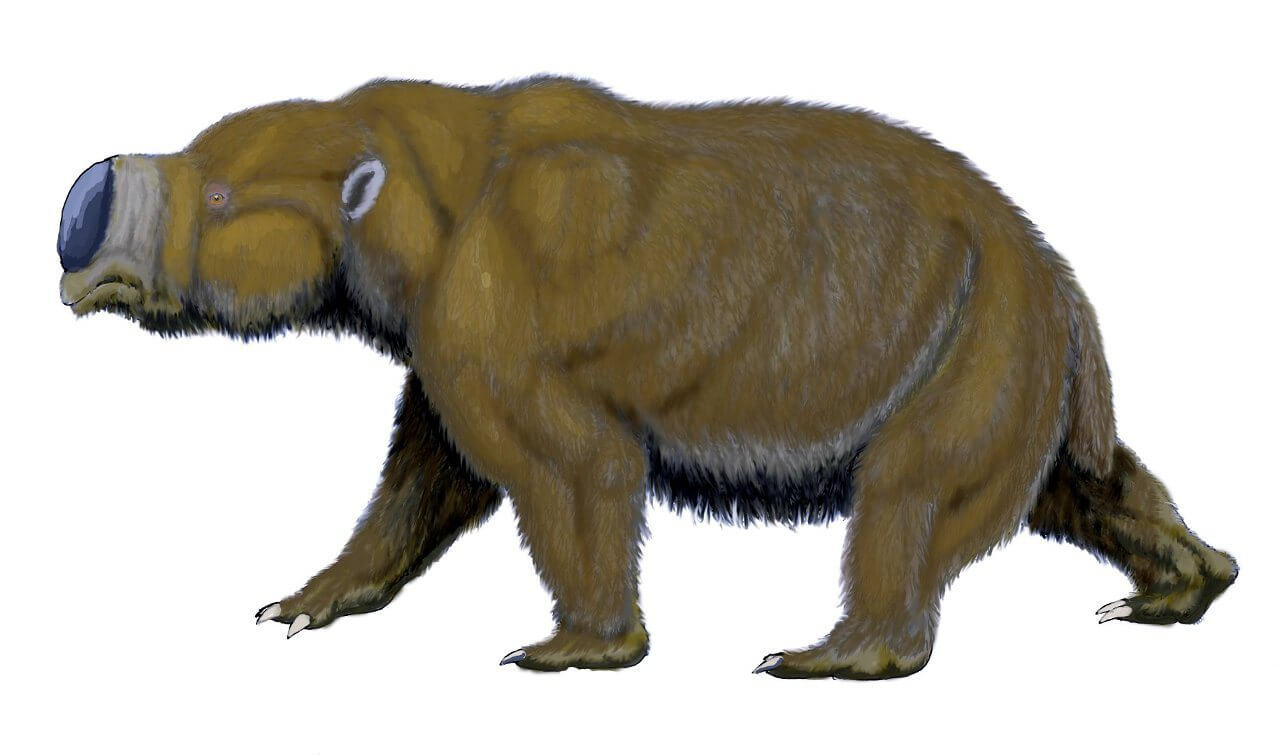Diprotodon, a giant wombat species. Image: Dmitry Bogdanov/Wikimedia Commons