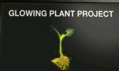 לוגו פרויקט Glowing plants