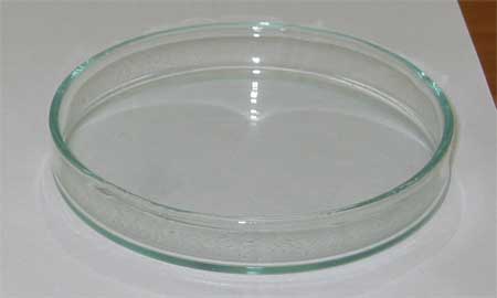 Petri dish. From Wikimedia.