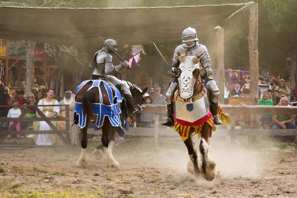 Knight fights with swords Tricia Daniel / Shutterstock.com