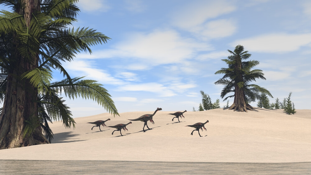 gigantoraptors גיגאנטוראפטורים בעת ריצתם. איור: קונסטנטין איבנישן, shutterstock