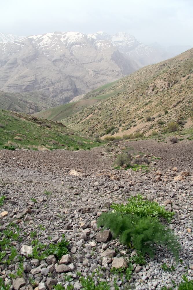 A view of the foothills of the Zagros Mountains in Iran. Photo: shutterstock
