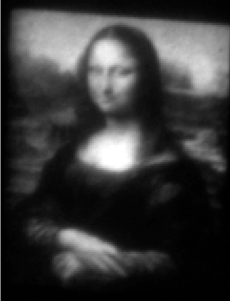 מיני ליסה - הציור המפורסם בעולם המונה ליסה בגרסה ננומטרית. צילום: המכון הטכנולוגי של ג'ורג'יה