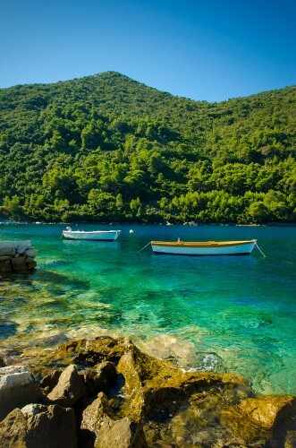 A forest in Croatia by the sea. Photo: shutterstock