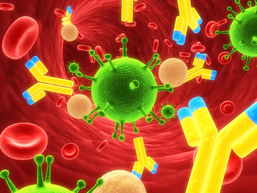 The immune system attacks invading viruses. Illustration: shutterstock