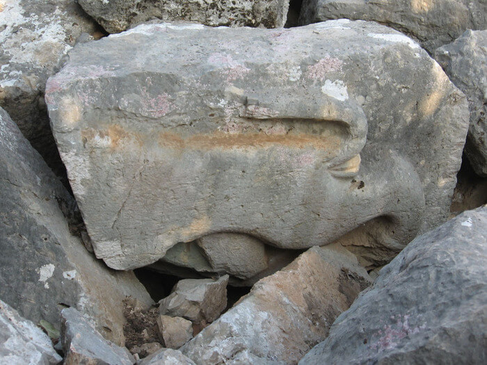 A lion relief discovered in August 2013 in the Nimrod National Park at the foot of Mount Hermon. Photo: Nature and Parks Authority