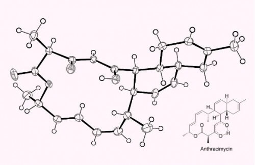 המבנה הקריסטלוגרפי והכימי של Anthracimycin (Kyoung Hwa Jang et al)