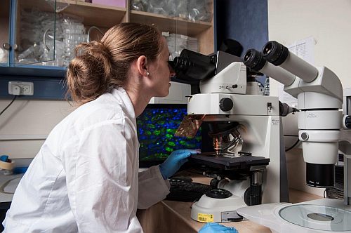 Research at the Technion. Photo: Technion spokespeople