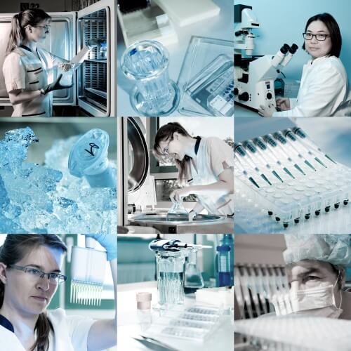 Biotechnology. Illustration: shutterstock